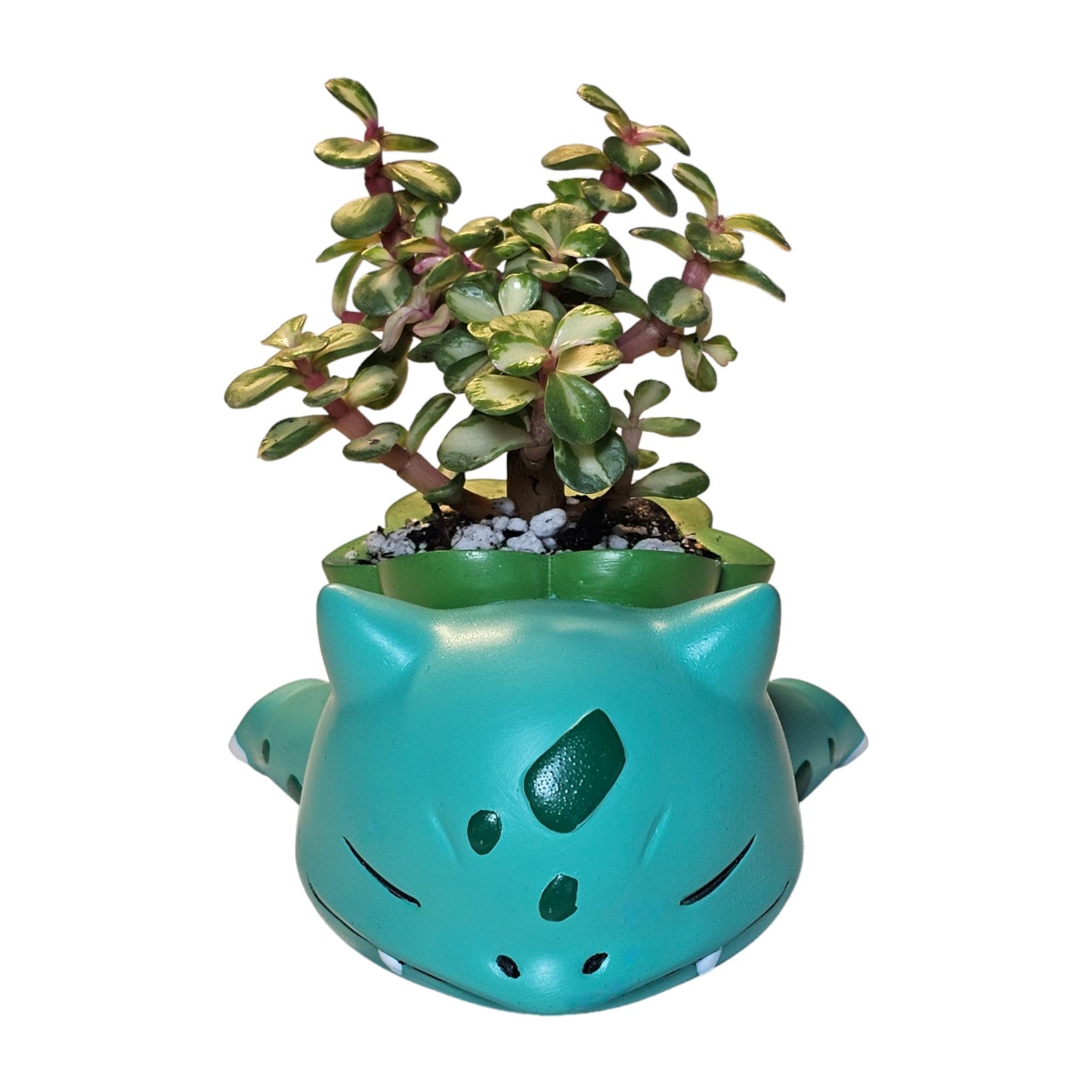 Sleepy Bulbasaur Pokemon Plant Pot 3'' - Mini Succulent Planter w/ Drainage Hole