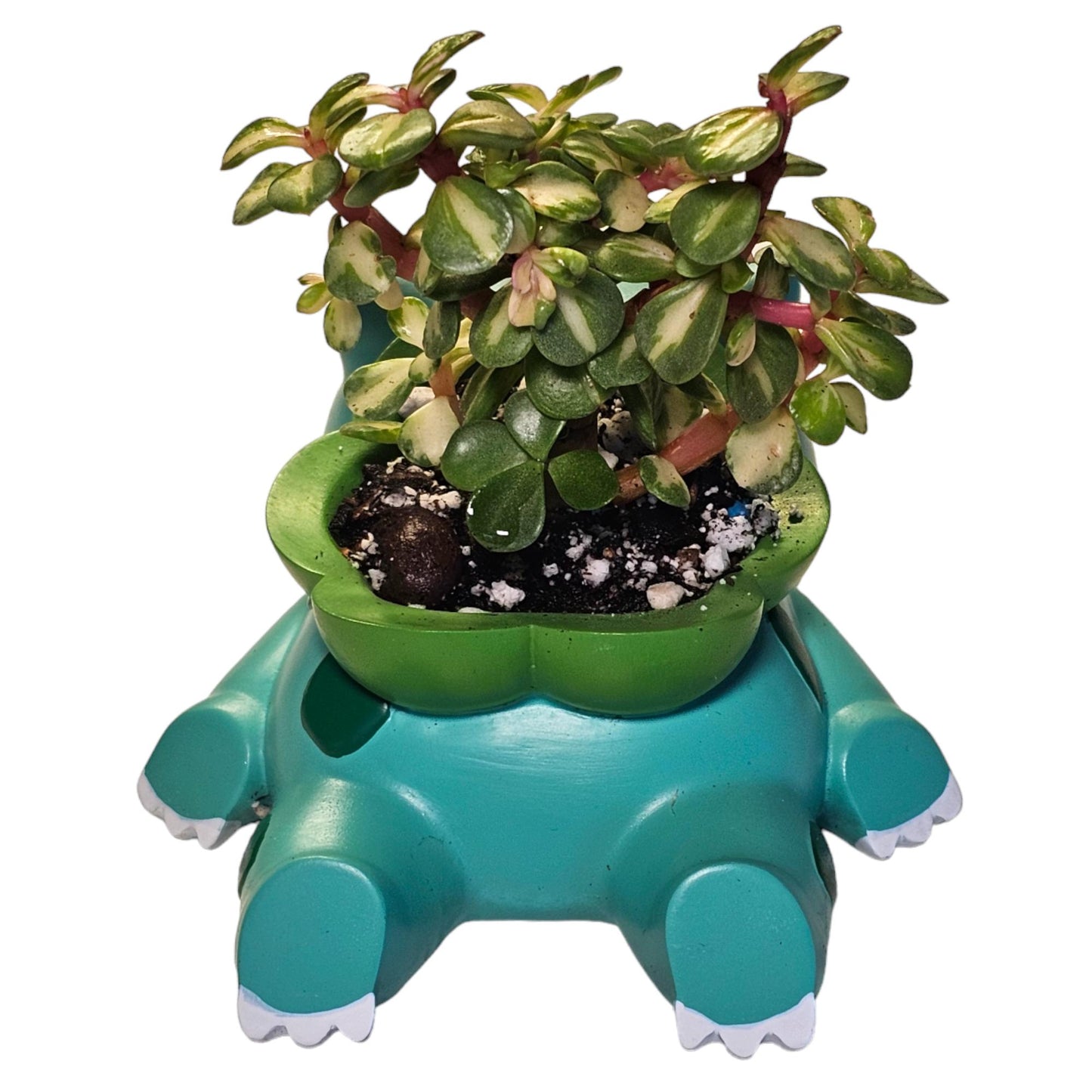 Sleepy Bulbasaur Pokemon Plant Pot 3'' - Mini Succulent Planter w/ Drainage Hole