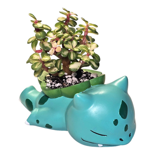 Sleepy Bulbasaur Pokemon Plant Pot 3'' - Mini Succulent Planter w/ Drainage Hole