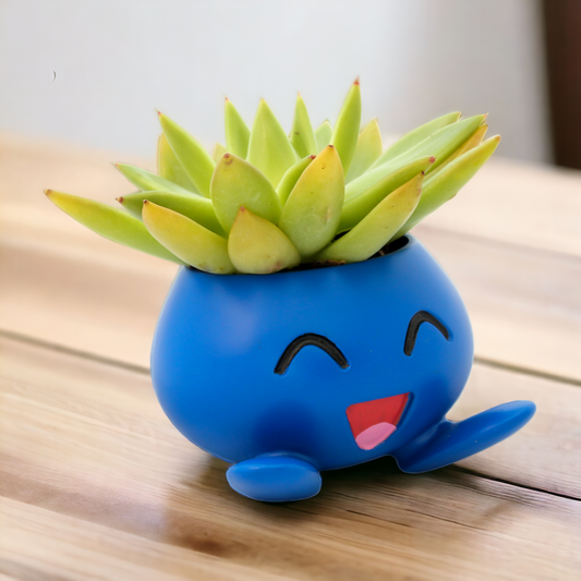 Oddish Pokemon Plant Pot 3.5'' Tall - Anime Succulent Planter For Office Desk, Home Decor, Garden