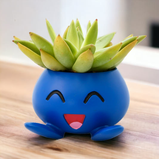 Oddish Pokemon Plant Pot 3.5'' Tall - Anime Succulent Planter For Office Desk, Home Decor, Garden